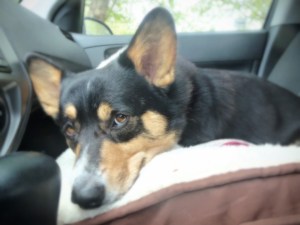 So, now what? Where should we go!?