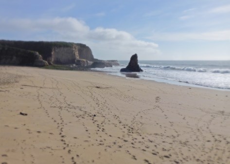 Ranger the Corgi hides in a hole at the beach. He calls it "Ranger's Retreat"