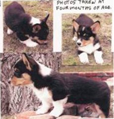 Here’s a little collage of me that Jim and Helen made when I was a baby.