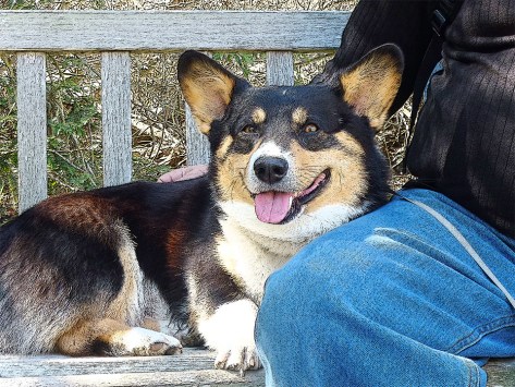Here I am with my most excellent human, Jeff, aka “Pappy Snack Pockets.” Make sure when you hit the trail that you have a human along with deep snack pockets! But find your own, this Snack Pocket is mine.