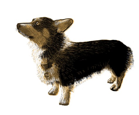 Ranger the Corgi as Art (1 of 1)