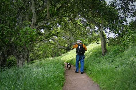 Jeff and Ranger under the California Oaks at Fort Ord, some welcome shade.