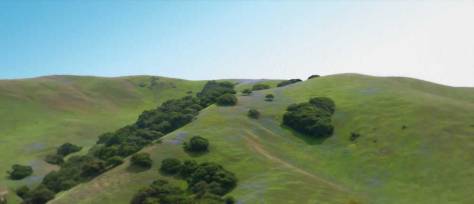 Hillsides with lupines Fort Ord National Monument. 