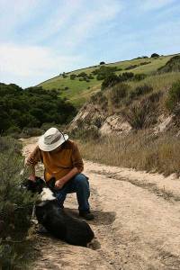 Always bring water for your dog. Be patient while he sits in the shade to catch his breath.