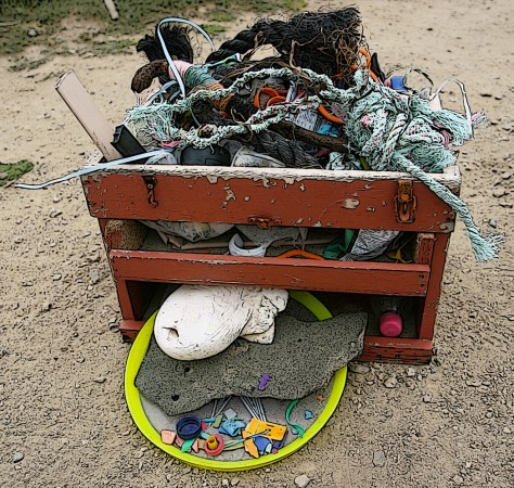 On a wind swept Point Reyes beach we free style collected this flotsam.